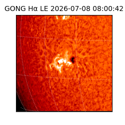 gong - 2026-07-08T08:00:42