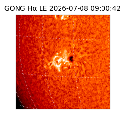 gong - 2026-07-08T09:00:42