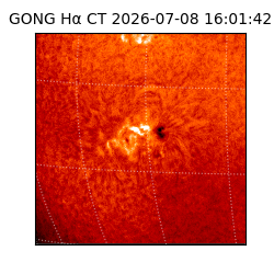 gong - 2026-07-08T16:01:42