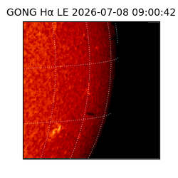 gong - 2026-07-08T09:00:42