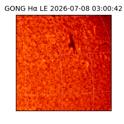 gong - 2026-07-08T03:00:42