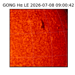 gong - 2026-07-08T09:00:42