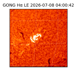 gong - 2026-07-08T04:00:42