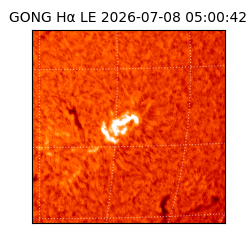 gong - 2026-07-08T05:00:42