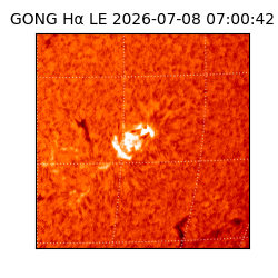 gong - 2026-07-08T07:00:42