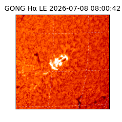 gong - 2026-07-08T08:00:42