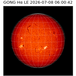 gong - 2026-07-08T06:00:42
