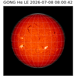 gong - 2026-07-08T08:00:42