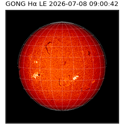 gong - 2026-07-08T09:00:42