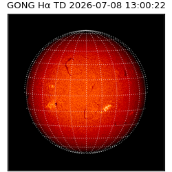 gong - 2026-07-08T13:00:22
