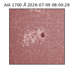 saia - 2026-07-09T08:00:28.716000