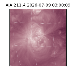 saia - 2026-07-09T03:00:09.623000