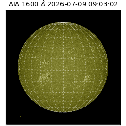 saia - 2026-07-09T09:03:02.124000