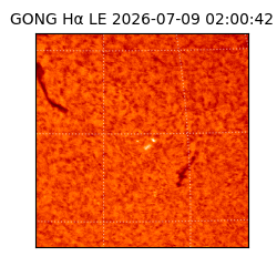 gong - 2026-07-09T02:00:42