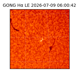 gong - 2026-07-09T06:00:42