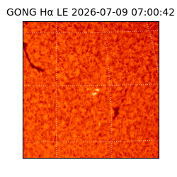 gong - 2026-07-09T07:00:42