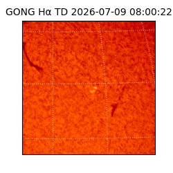 gong - 2026-07-09T08:00:22