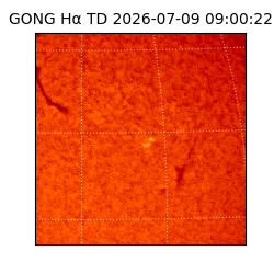 gong - 2026-07-09T09:00:22