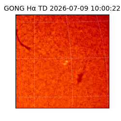 gong - 2026-07-09T10:00:22