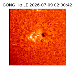 gong - 2026-07-09T02:00:42