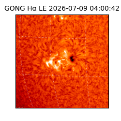 gong - 2026-07-09T04:00:42