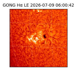 gong - 2026-07-09T06:00:42