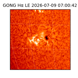 gong - 2026-07-09T07:00:42