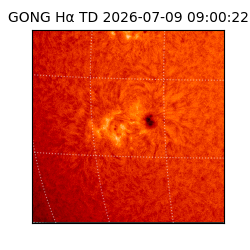 gong - 2026-07-09T09:00:22