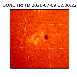 gong - 2026-07-09T12:00:22