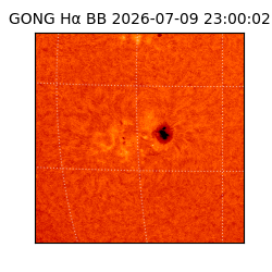gong - 2026-07-09T23:00:02