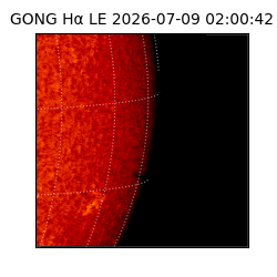 gong - 2026-07-09T02:00:42