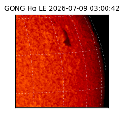 gong - 2026-07-09T03:00:42