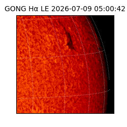 gong - 2026-07-09T05:00:42
