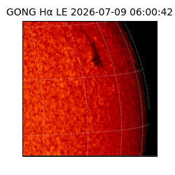 gong - 2026-07-09T06:00:42