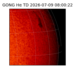 gong - 2026-07-09T08:00:22
