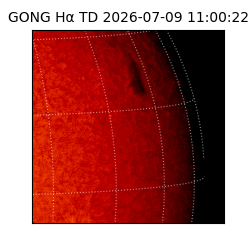 gong - 2026-07-09T11:00:22