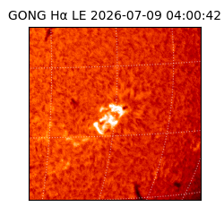 gong - 2026-07-09T04:00:42