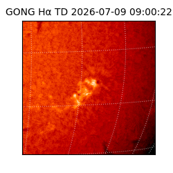 gong - 2026-07-09T09:00:22