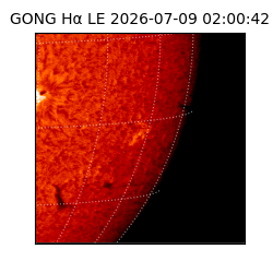 gong - 2026-07-09T02:00:42