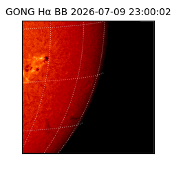 gong - 2026-07-09T23:00:02