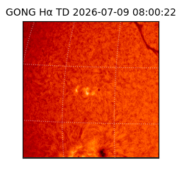 gong - 2026-07-09T08:00:22