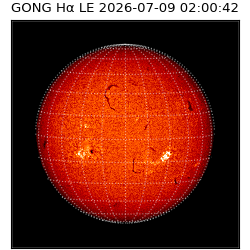 gong - 2026-07-09T02:00:42