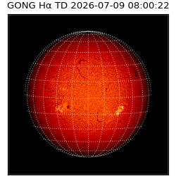 gong - 2026-07-09T08:00:22