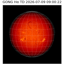 gong - 2026-07-09T09:00:22