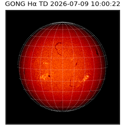 gong - 2026-07-09T10:00:22