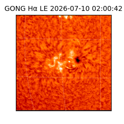 gong - 2026-07-10T02:00:42