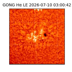 gong - 2026-07-10T03:00:42