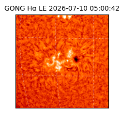 gong - 2026-07-10T05:00:42