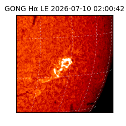 gong - 2026-07-10T02:00:42