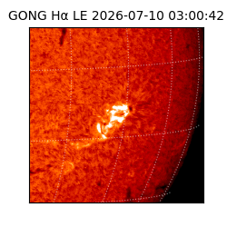 gong - 2026-07-10T03:00:42